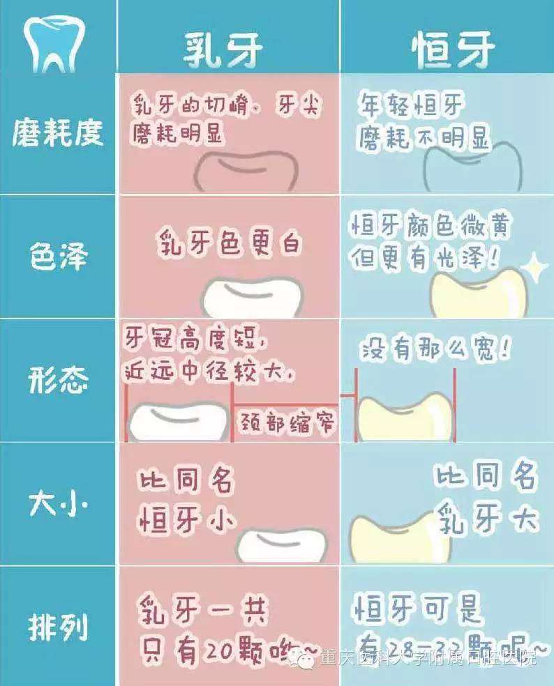 微信图片_20190218120131.jpg